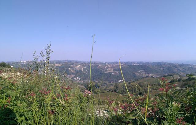 Castelnuovo Belbo | Camminata Nordic Walking